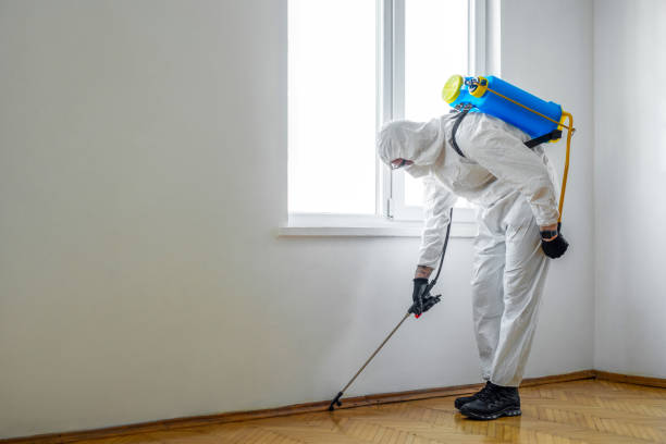 Best Real Estate Pest Inspections  in De Witt, NY